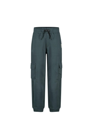 Sturdy Cargo broek - Fix It Petrol