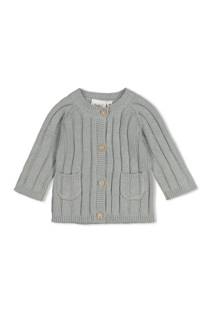 Feetje Vestje gebreid - Pinguin Cuddles Mint melange