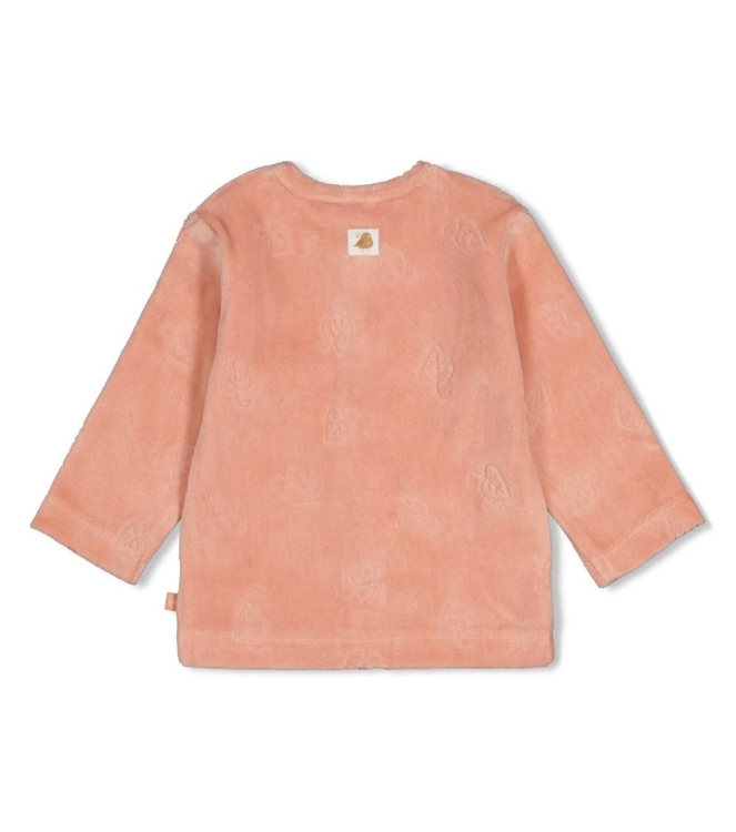 Feetje vesten Roze 51300566