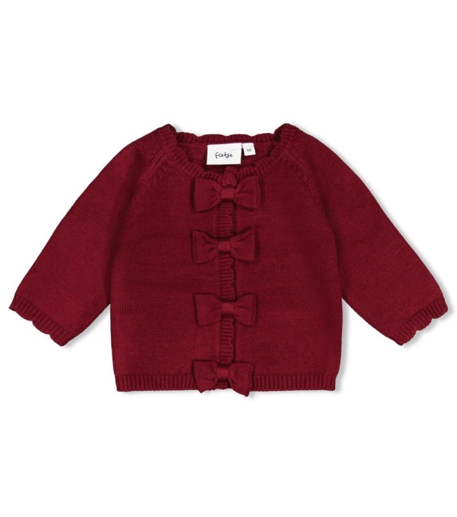 Feetje vesten Bordeaux 51300571