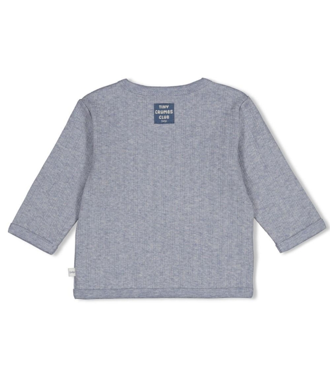 Feetje shirts Blauw melange 51602793