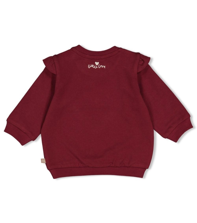 Feetje truien Bordeaux 51602854