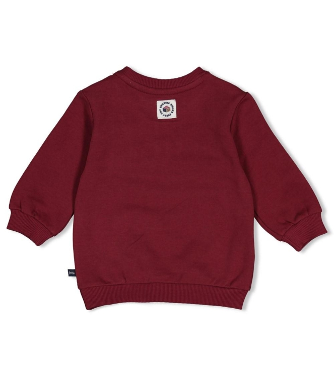 Feetje truien Bordeaux 51602863