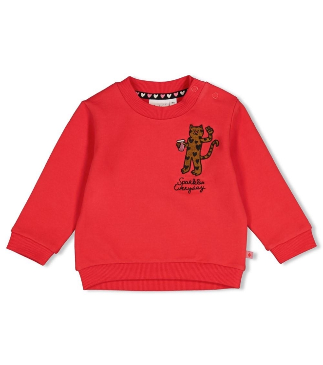 Feetje truien Rood 51602875