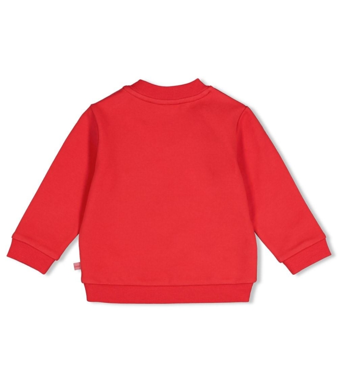 Feetje truien Rood 51602875