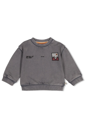 Feetje Sweater met rugprint - Mountain Top Grijs
