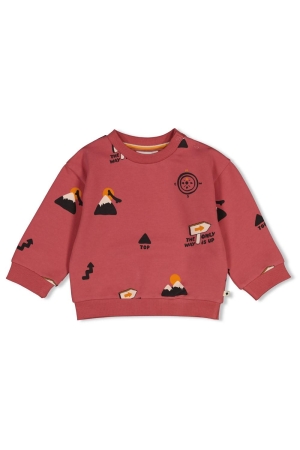 Feetje Sweater AOP - Mountain Top Rood