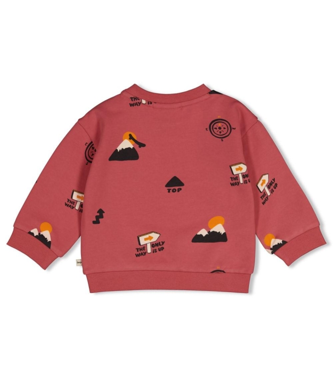 Feetje truien Rood 51602901