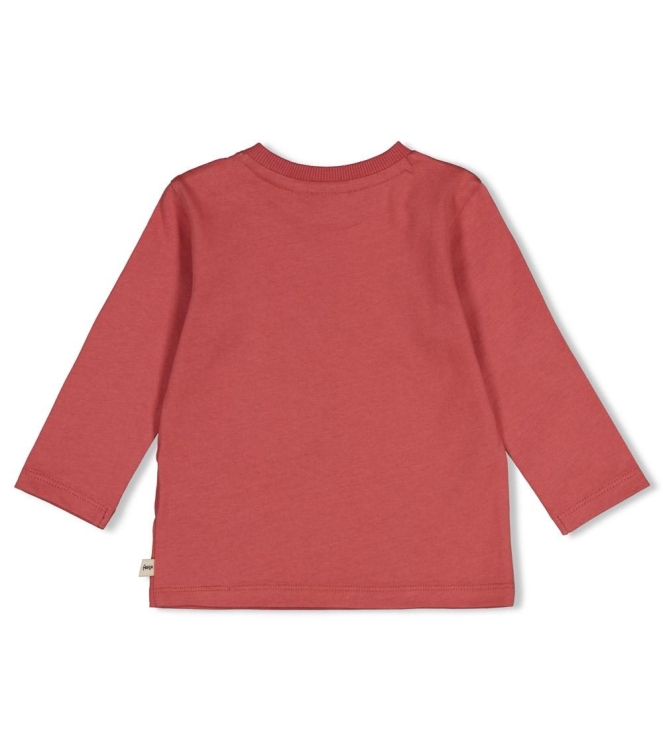 Feetje shirts Rood 51602903
