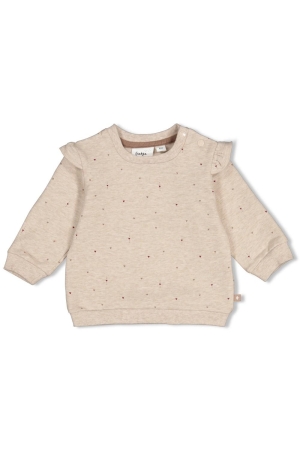 Feetje Sweater AOP - My Little Love Taupe melange
