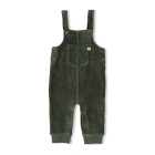 Feetje broeken Groen 52000143