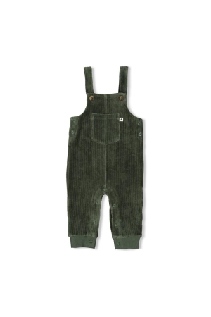 Feetje Tuinbroek velours rib - Wiggle and Waddle Groen