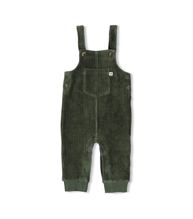 Feetje broeken Groen 52000143