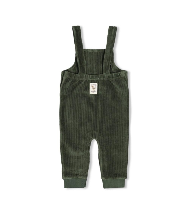 Feetje broeken Groen 52000143