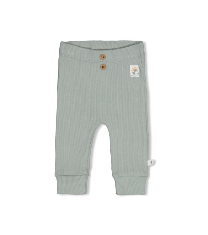Feetje broeken Zeegroen 52202557