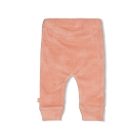 Feetje broeken Roze 52202573