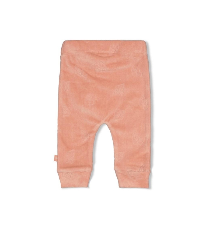 Feetje broeken Roze 52202573