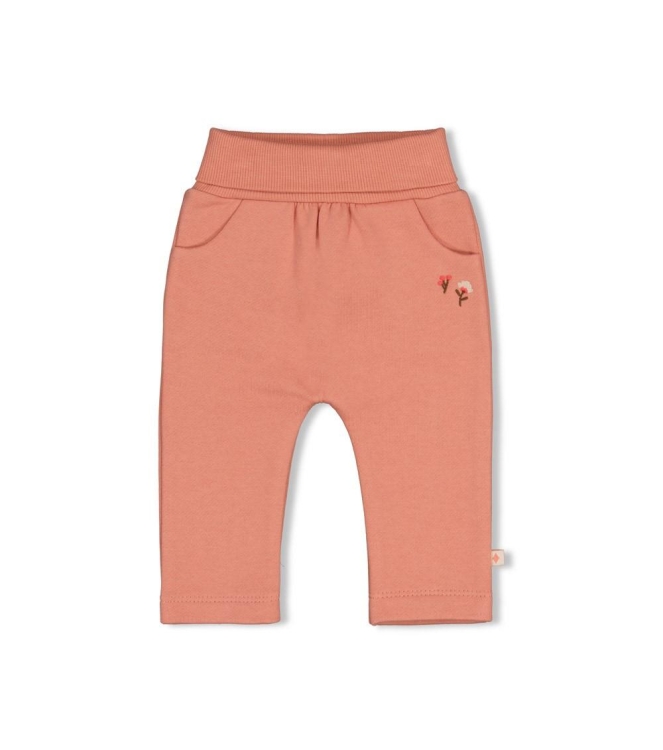Feetje broeken Roze 52202577