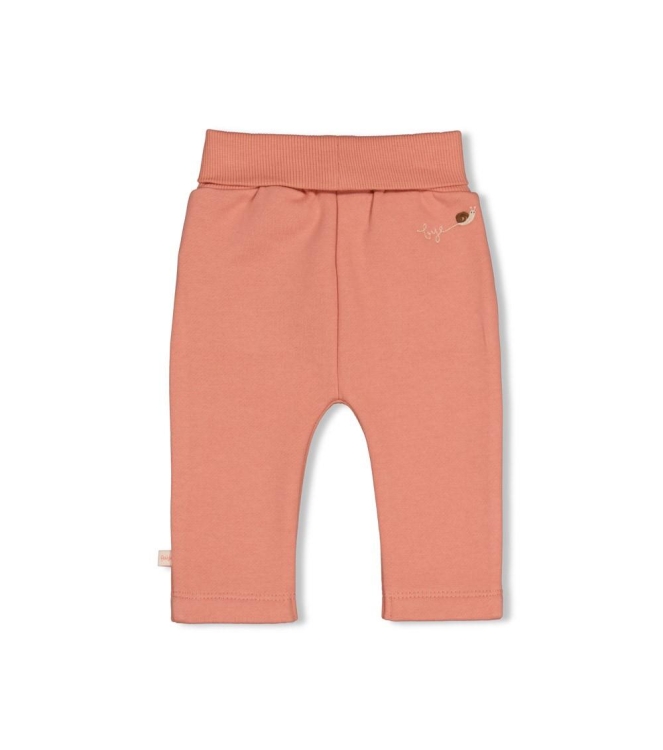 Feetje broeken Roze 52202577