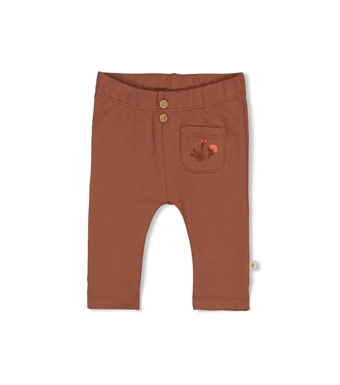 Feetje broeken Bruin 52202580