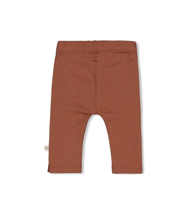Feetje broeken Bruin 52202580