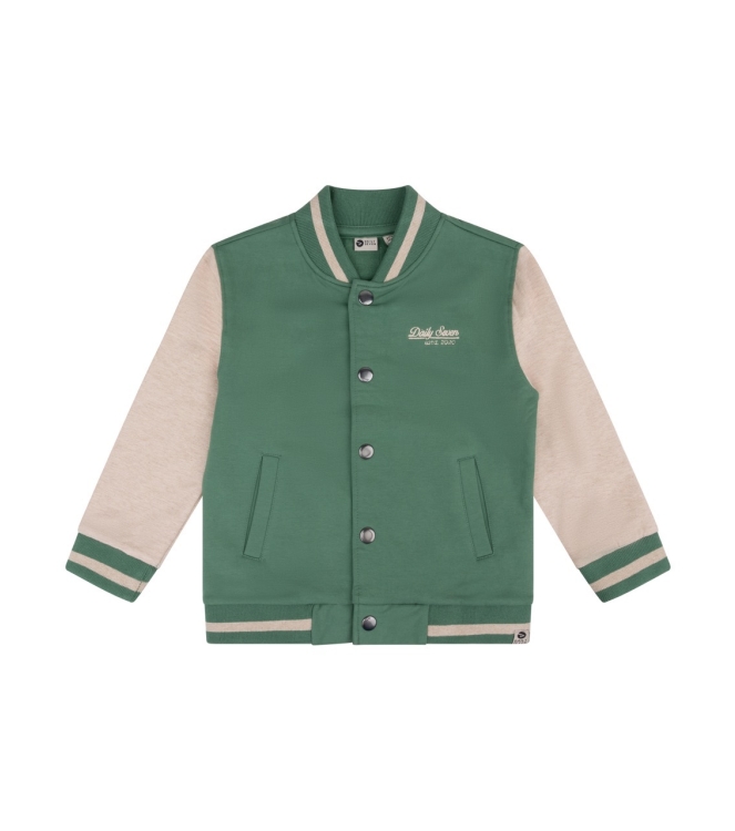 Daily7 truien & vesten 9656 Slate Green 920002/D7B-W24-1501