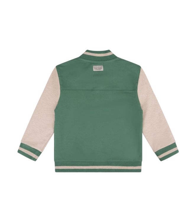 Daily7 truien & vesten 9656 Slate Green 920002/D7B-W24-1501