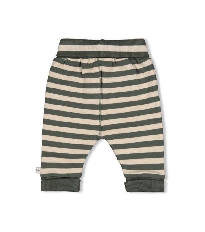 Feetje broeken Groen 52202597