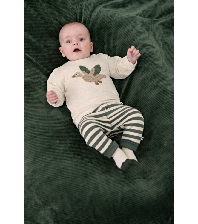 Feetje broeken Groen 52202597