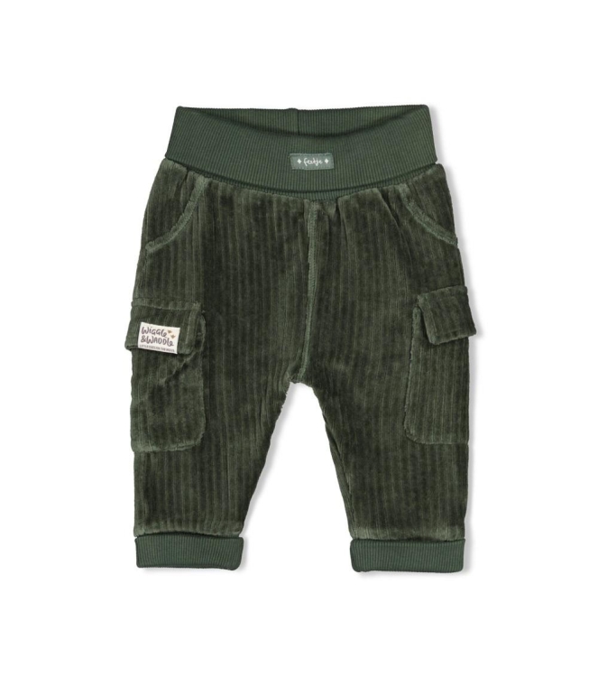 Feetje broeken Groen 52202598