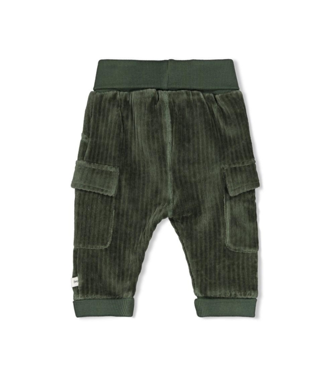 Feetje broeken Groen 52202598