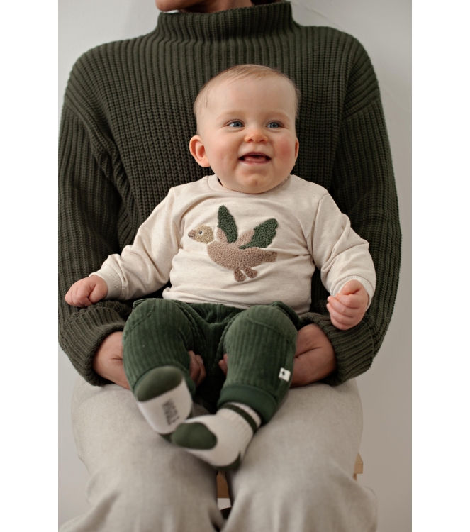 Feetje broeken Groen 52202598