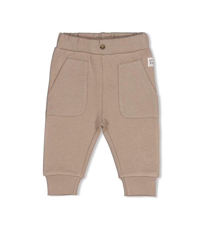 Feetje broeken Grijs 52202600