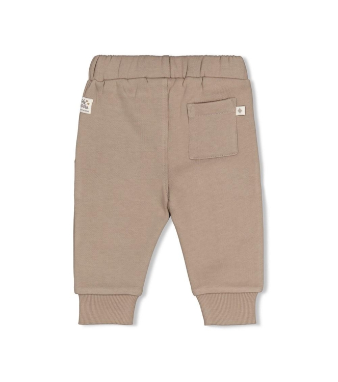 Feetje broeken Grijs 52202600