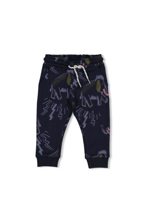 Feetje Broek AOP - Rock the Earth d.Blauw
