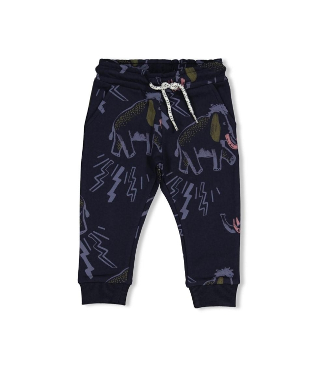 Feetje broeken d.Blauw 52202642
