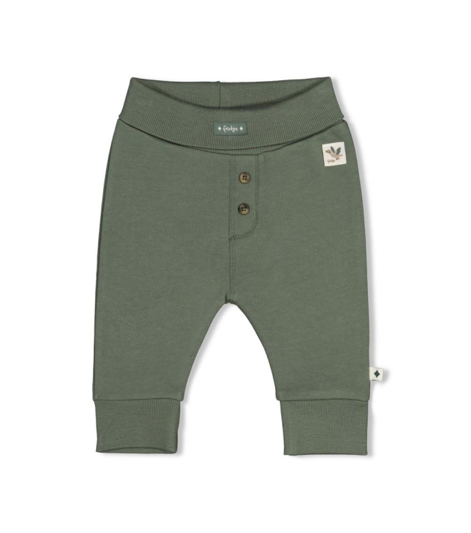 Feetje broeken Groen 52202650