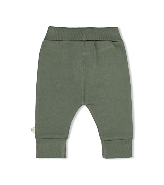 Feetje broeken Groen 52202650