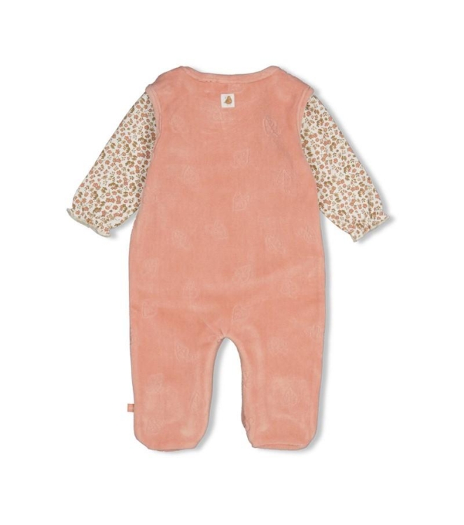 Feetje boxpakjes Roze 52500253