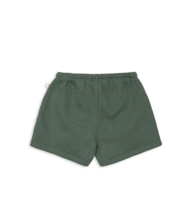 Konges Slojd  broeken Cilantro KS105452