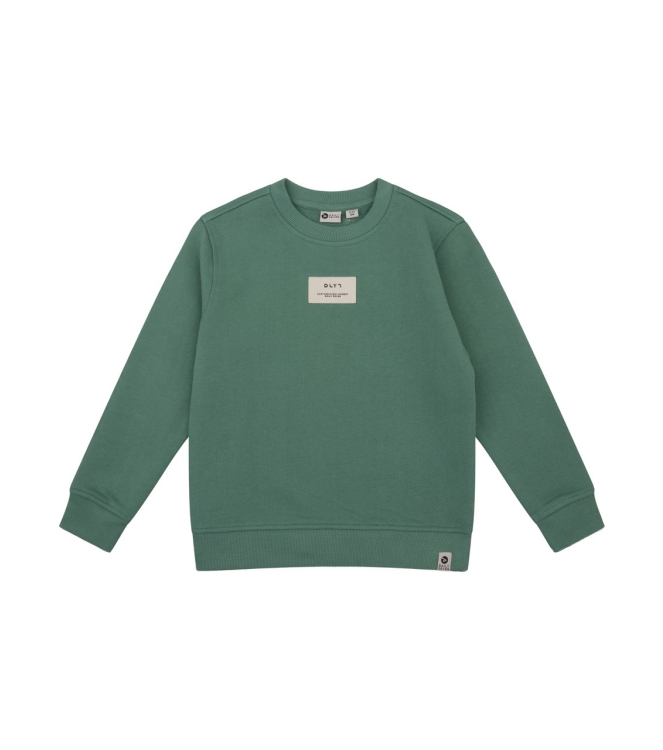 Daily7 truien & vesten 9656 Slate Green 920033/D7B-W24-4501