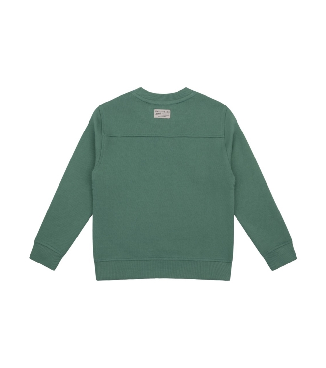 Daily7 truien & vesten 9656 Slate Green 920033/D7B-W24-4501