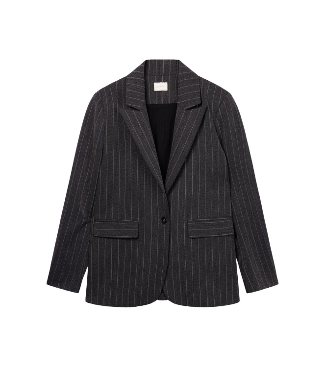 Ai&Ko blazers & gilets Antra Grey Kendal Pinstripe
