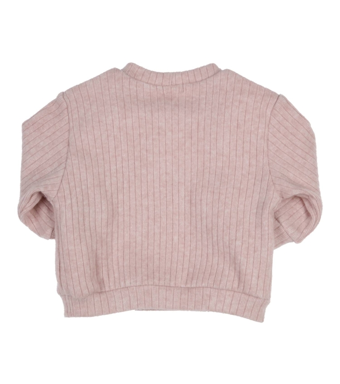 Gymp truien Old Rose 352-6765-10