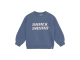 Daily7 truien Ash Blue 920392