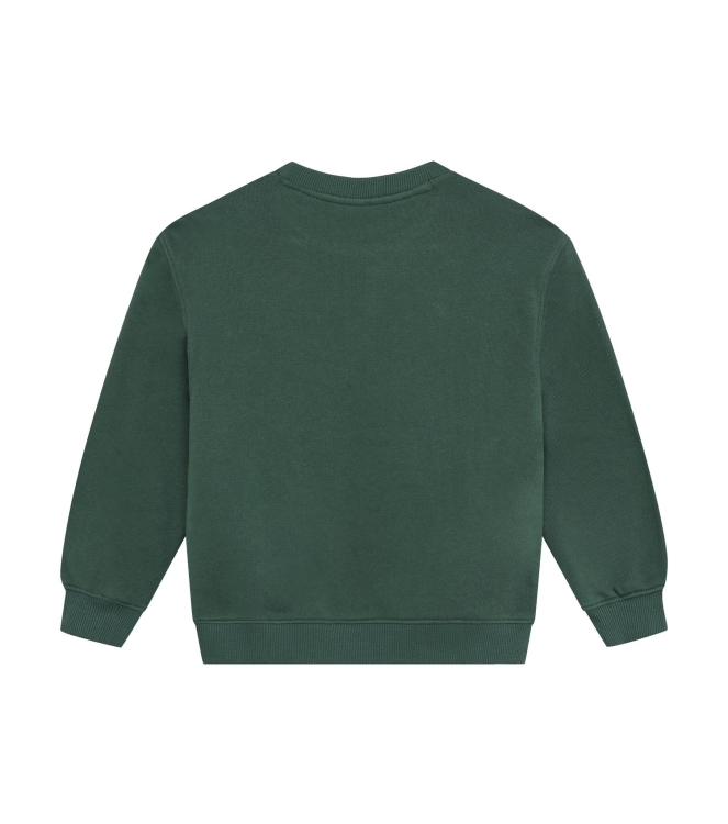 Daily7 truien Jungle Green 920398