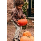 Daily7 truien Almond Brown 920448