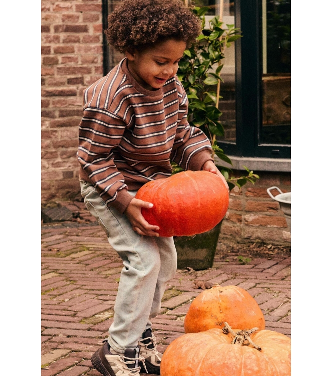 Daily7 truien Almond Brown 920448