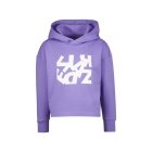 Raizzed truien & vesten 841 Purple hebe R123KGN34004