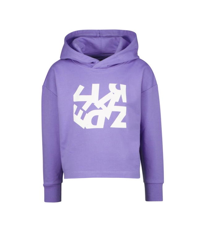 Raizzed truien & vesten 841 Purple hebe R123KGN34004